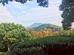 -西湖风景区十里琅珰-五云山