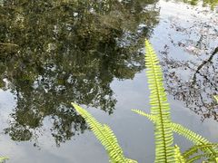 -广州兰圃
