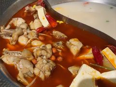 -麻田会 ·鲜活现烹·牛蛙火锅(珠江新城维家思广场店)