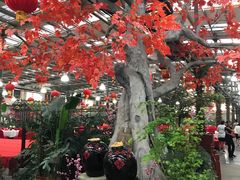 -兴芮温泉度假区