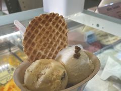 -Mint Gelato(二厂店)