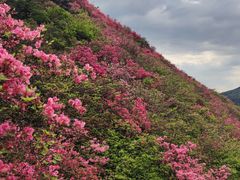 -木兰云雾山