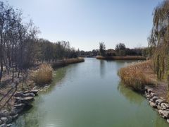 -大兴滨河森林公园