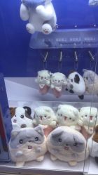 -探奇乐园蹦床公园(日月广场店)