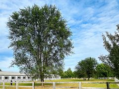 -北京群众马术培训基地