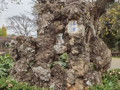 -庾园