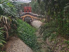 -呀路古热带植物园