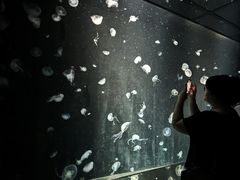 -大阪海游馆
