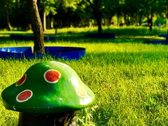 -长春公园(普阳街道)