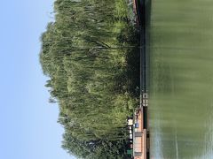 -海淀公园