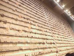 -KKV(深圳kk one 店)