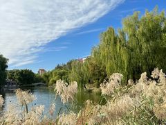 -三忘湖 SWANSEEN(柳荫公园店)