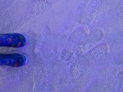 -世界之窗阿尔卑斯冰雪世界
