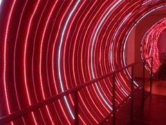 -朝阳公园游乐园