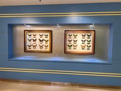 -上海昆虫博物馆