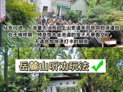 -橘子洲景区
