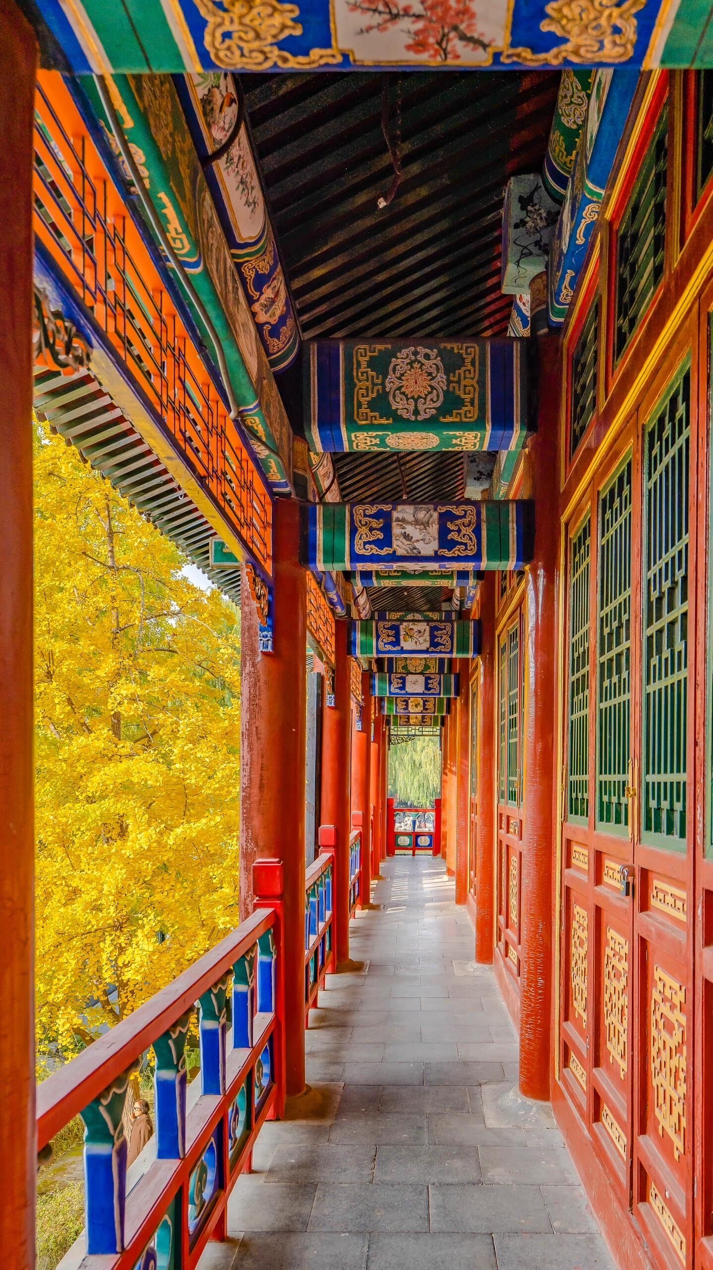 北京大观园,讲述秋天🍂
