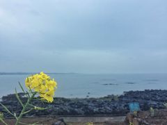 -Cafe Aewol Monsant