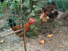 -美家乐农庄·露营·团建(大治路店)