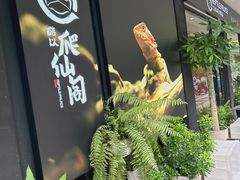 -酷以爬仙阁实体爬宠店·守宫·蜥蜴·专业繁育