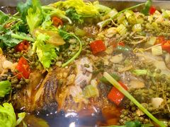 -渝尾巴烤鱼(总店)