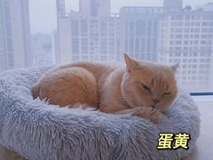-Catmate·猫肥家润(金润铂宫店)