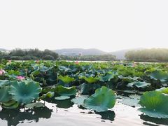 -江南大学(蠡湖校区)
