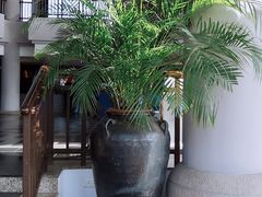 -苏州吴宫泛太平洋酒店