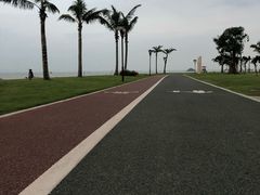 -野狸岛