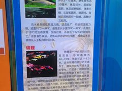 -上海玛雅海滩水公园