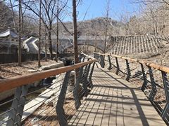 -白水寺森林公园