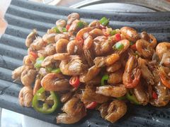 -八仔大富楼·河鲜(西江店)