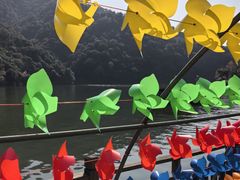 -天台国家森林公园水上茶乡九鹏溪