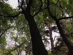 -北陵公园