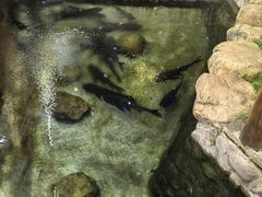 -耕渔小院·湖南鱼鲜(望城店)