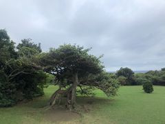 -鹅銮鼻公园