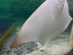 -新加坡水上探险乐园