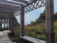 -白草畔自然风景区