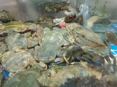 -富临港·蒸汽海鲜·手抓海鲜·炒菜(栈桥店)