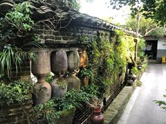 -青城甲(青城山店)