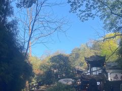 -青城山