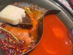 -生活如沸·顺德水牛奶火锅(大学路店)