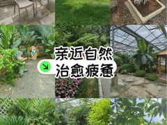 -石家庄市植物园
