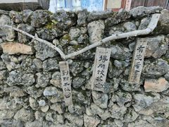 -玉湖村