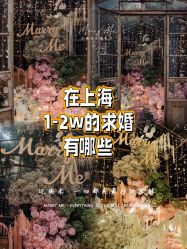 -迈瑞米求婚策划(静安店)