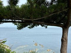 -养马岛旅游度假区