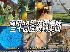 -中国西峡恐龙遗迹园