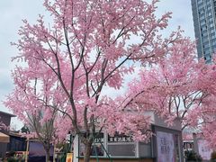 -首开·龙湖成都西宸天街
