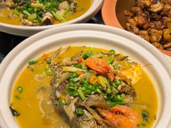 -饭怕鱼·黄焖鲟龙鱼(湖大店)