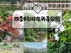 -龙头寺公园